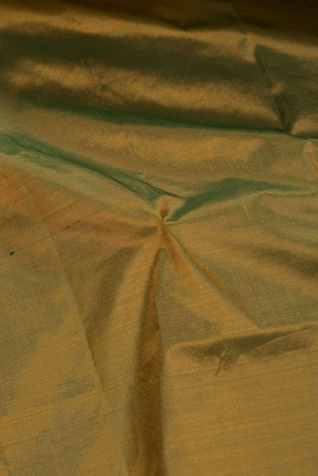 Green Dual Tone Kanchipuram Silk Saree