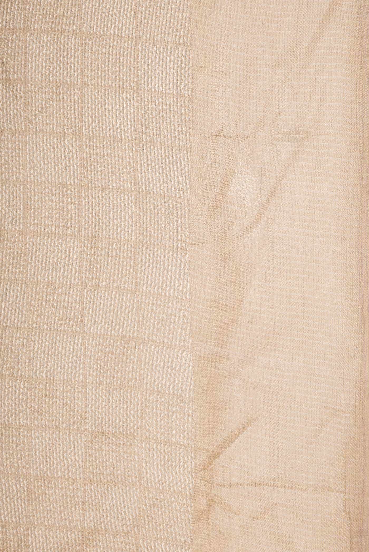 Dark Beige Tussar Silk Saree