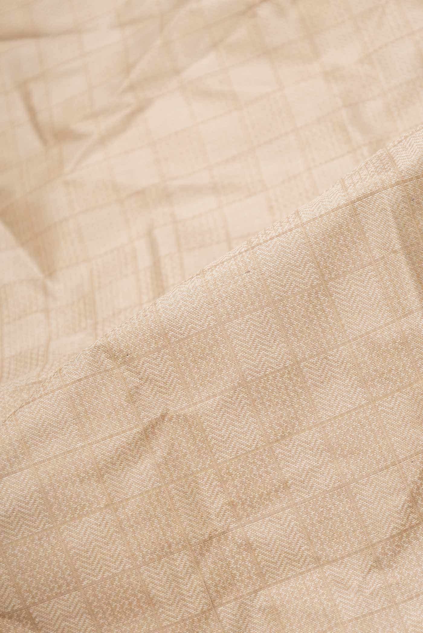 Dark Beige Tussar Silk Saree