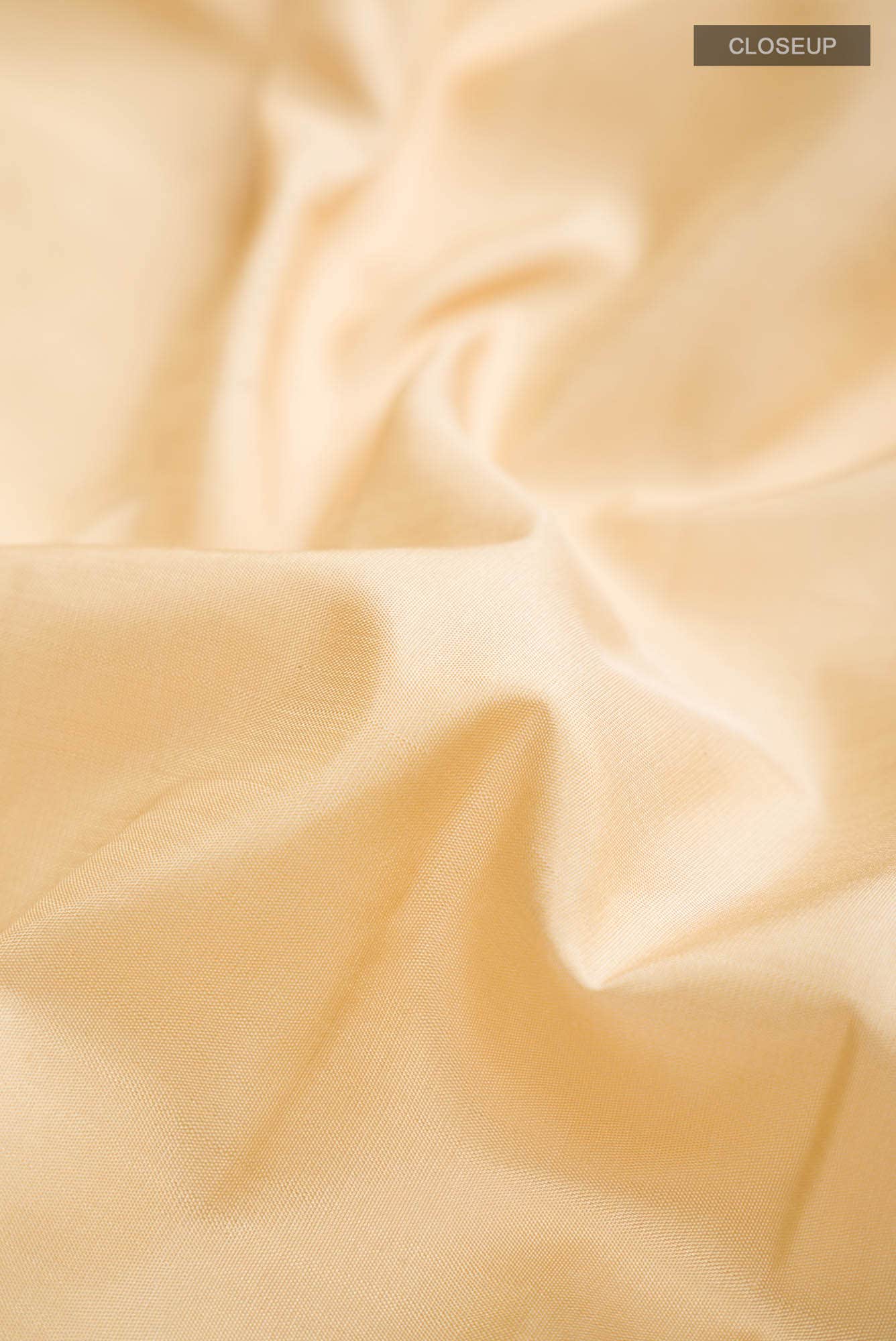 Beige Kanchipuram Silk Saree