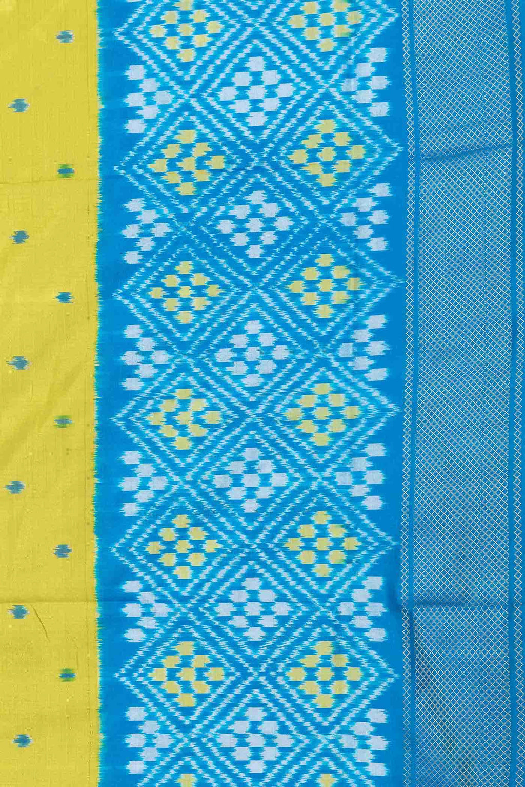 Light Green Dual Tone Double Ikat Saree