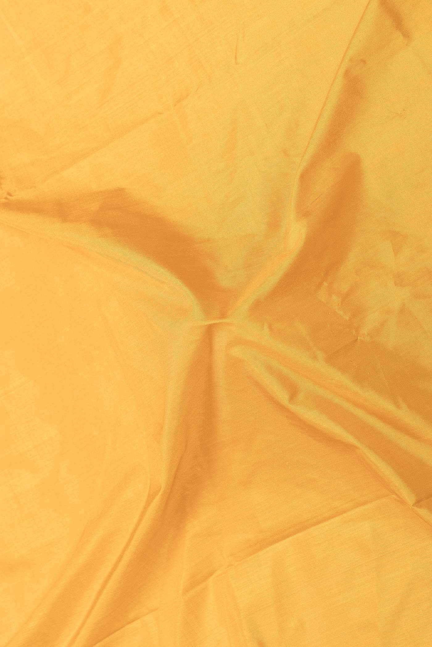 Mustard Dual Tone Double Ikat Saree