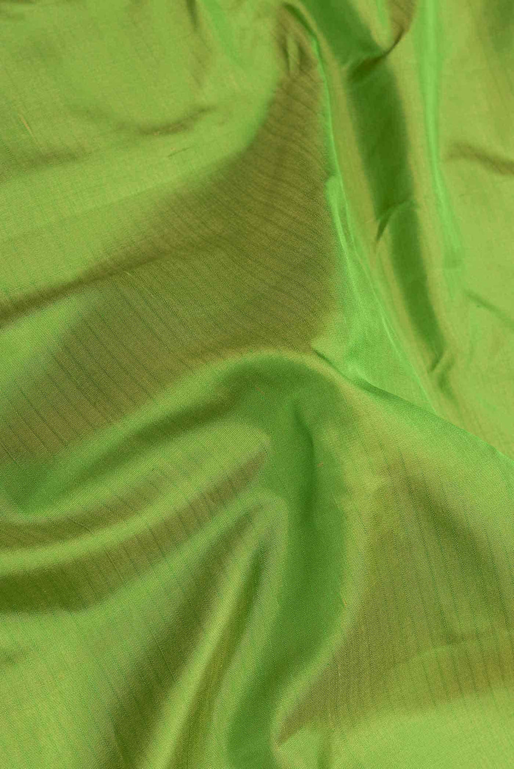 Green Dual Tone Gadwal Silk Saree