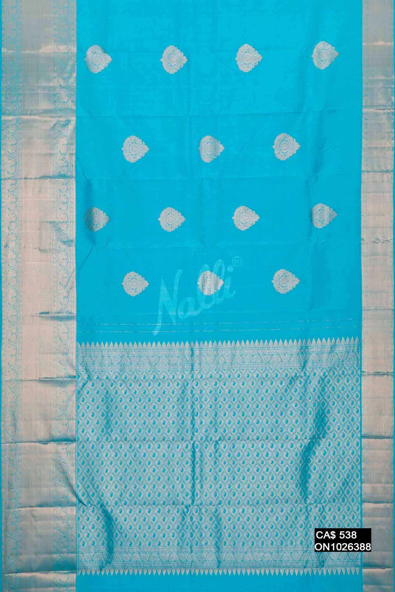 Sky Blue Kanchipuram Silk Saree