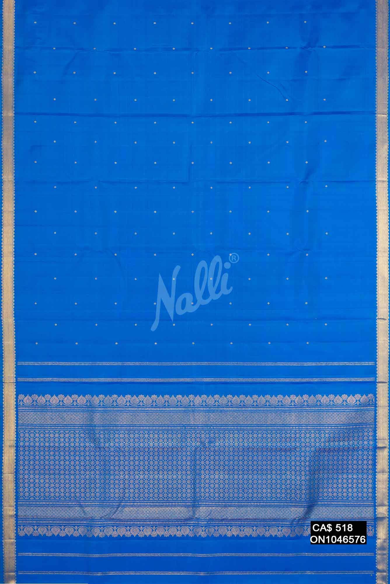 Sky Blue Kanchipuram Silk Saree