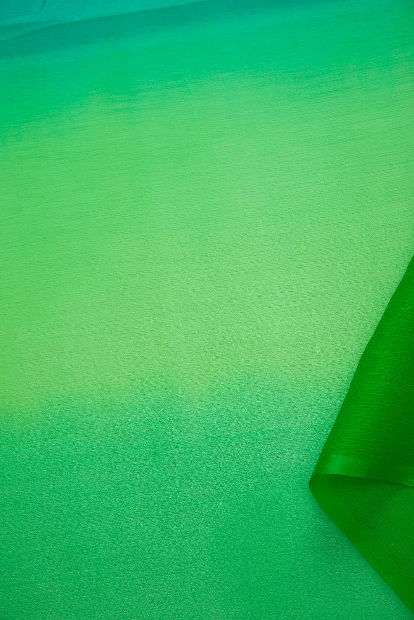 Parrot Green and Peacock Blue Chiffon Dress Material