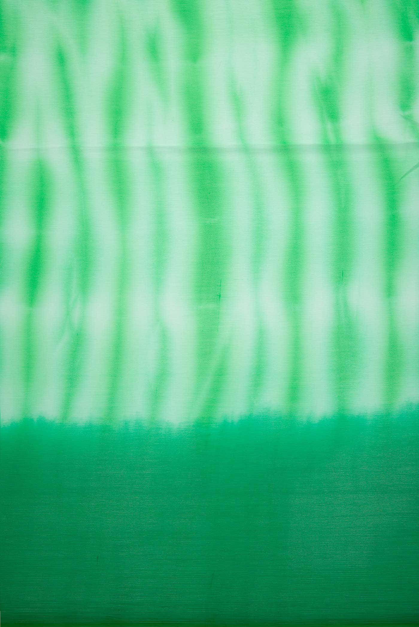 Green Chiffon Dress Material