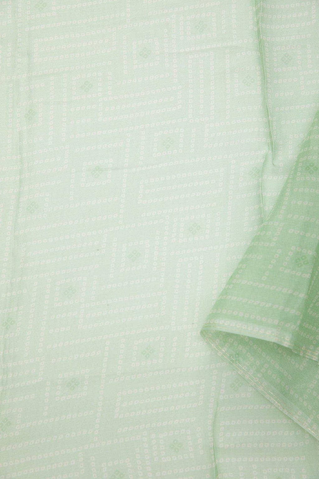Pista Green Organza Silk Dress Material