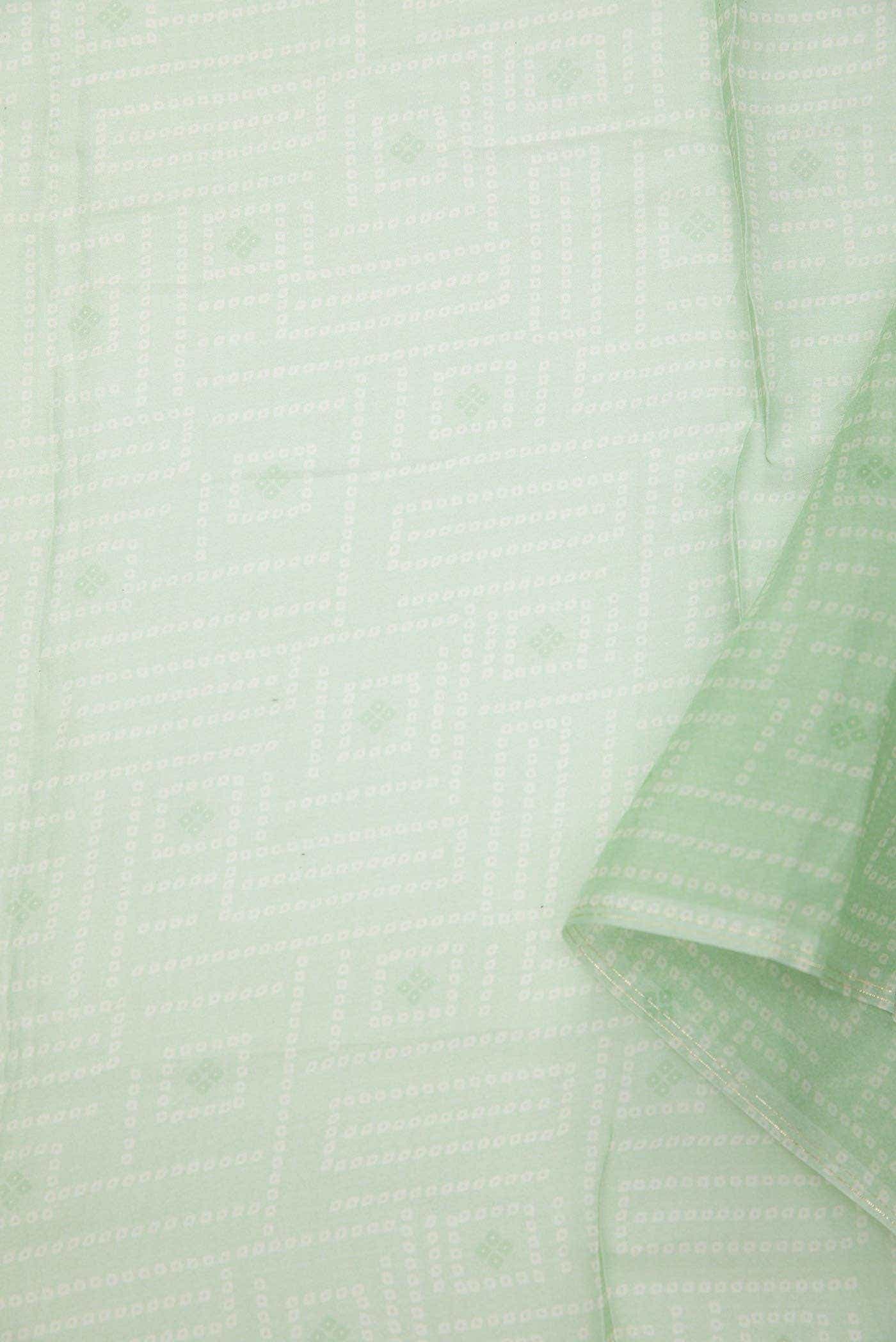Pista Green Organza Silk Dress Material