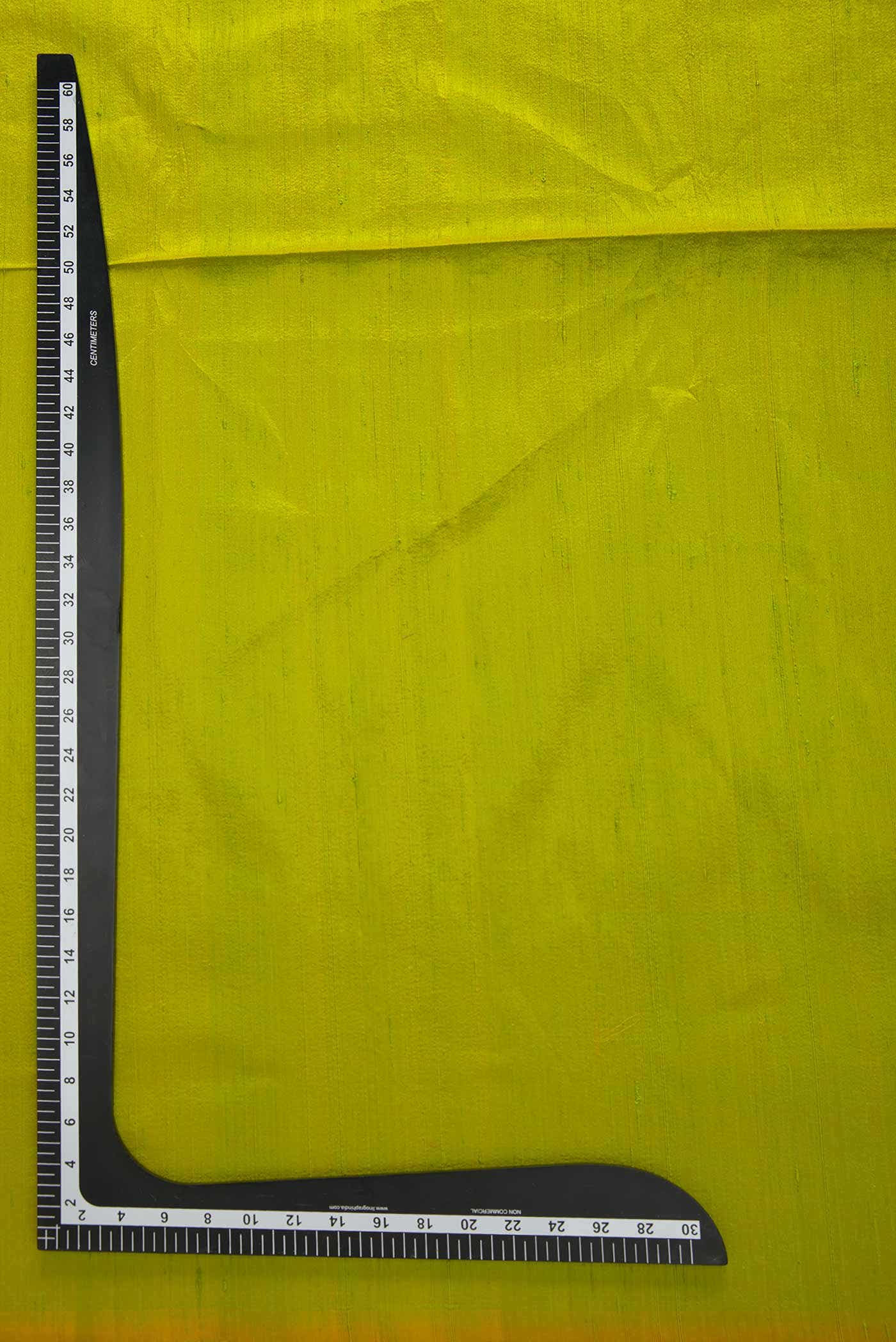 Parrot Green Raw Silk Dress Material