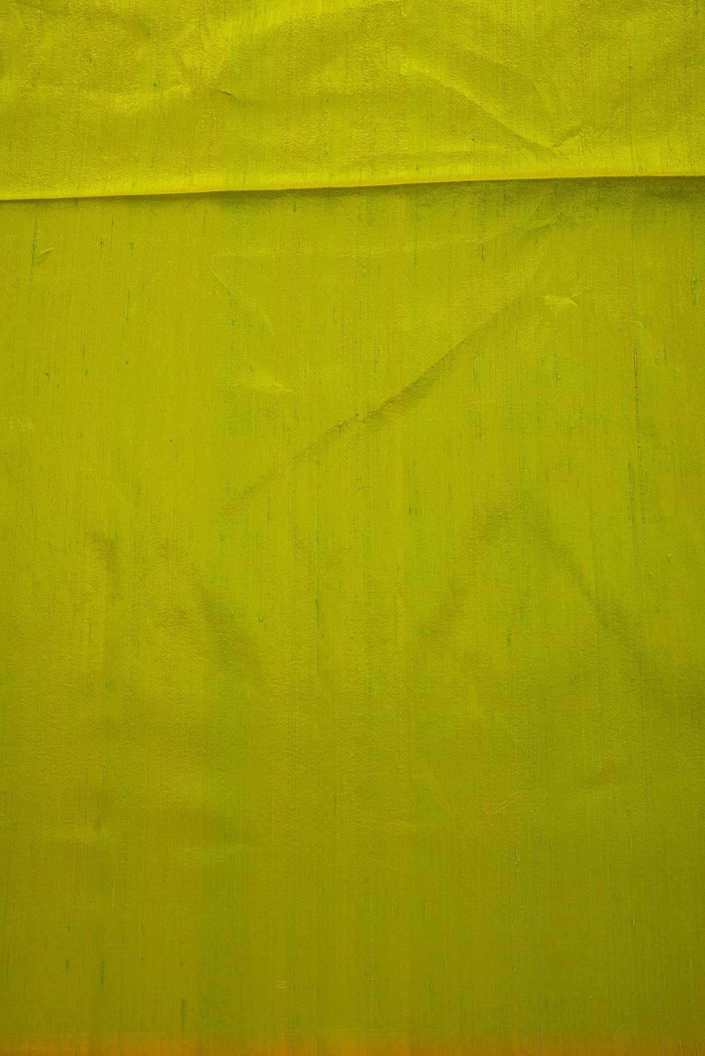 Parrot Green Raw Silk Dress Material