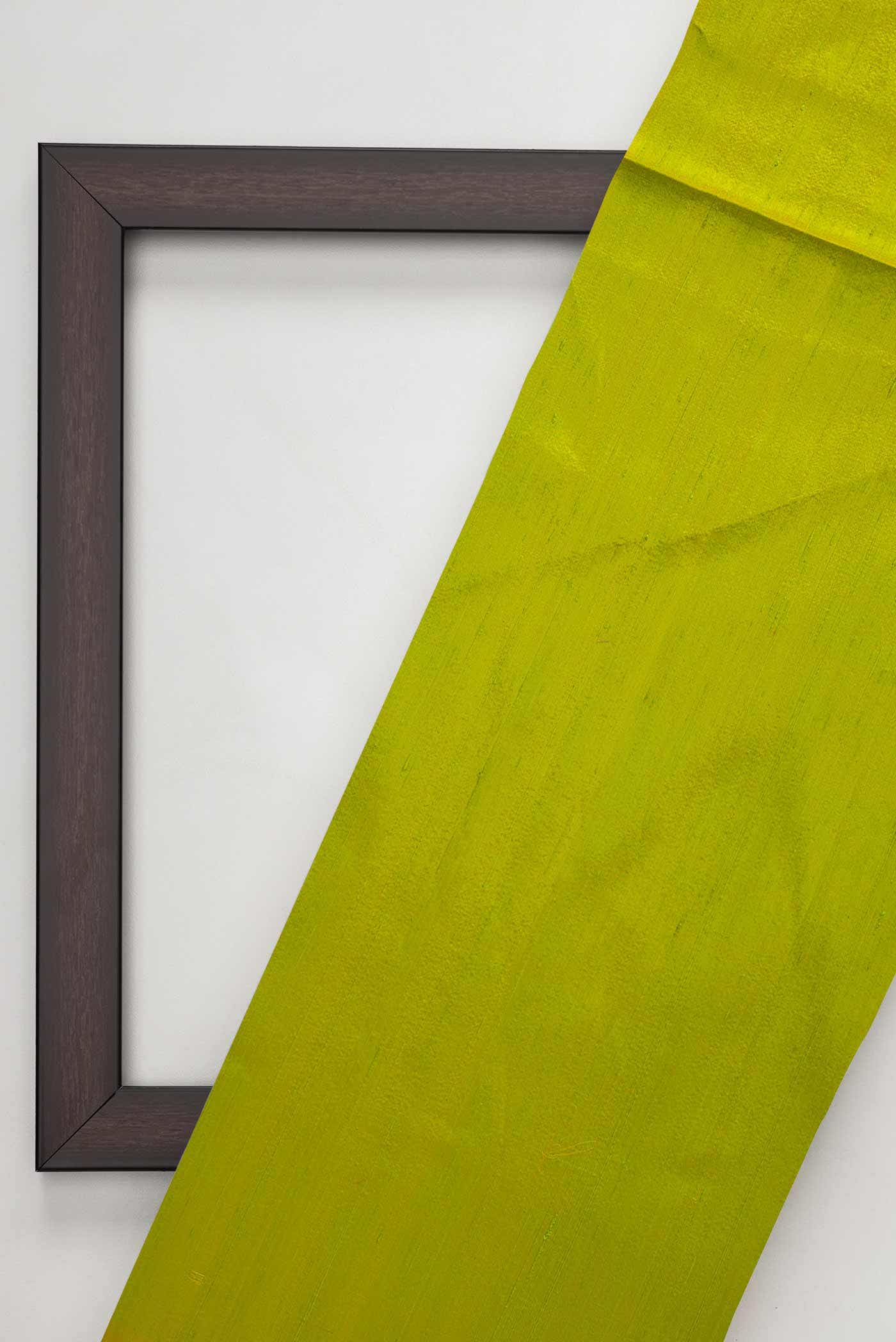 Parrot Green Raw Silk Dress Material