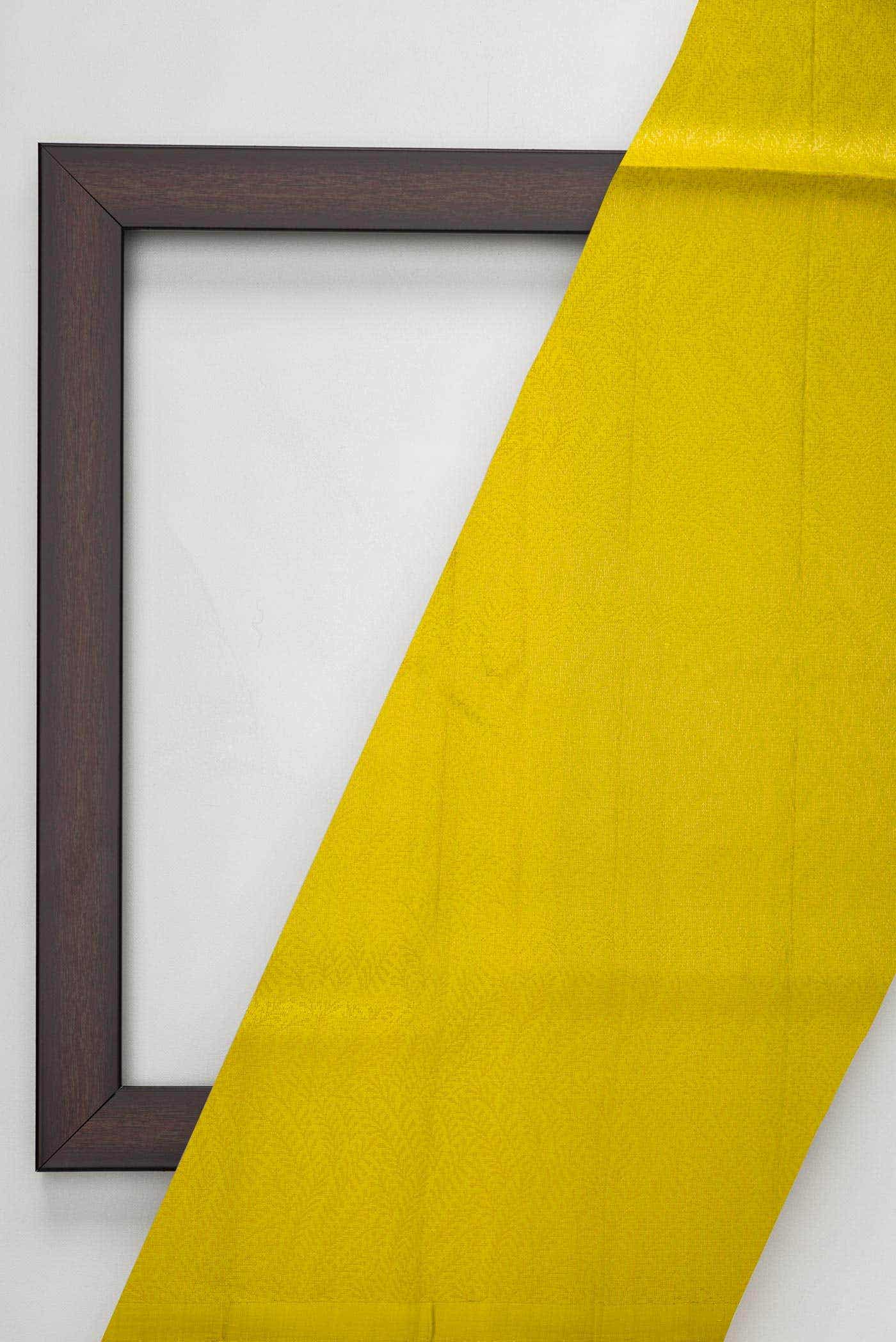 Parrot Green Kanchipuram Silk Dress Material