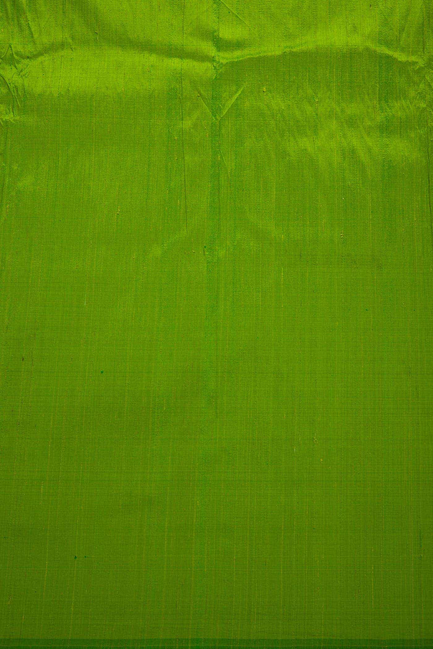 Parrot Green Raw Silk Dress Material