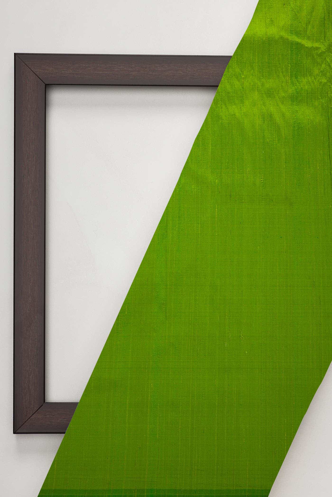 Parrot Green Raw Silk Dress Material