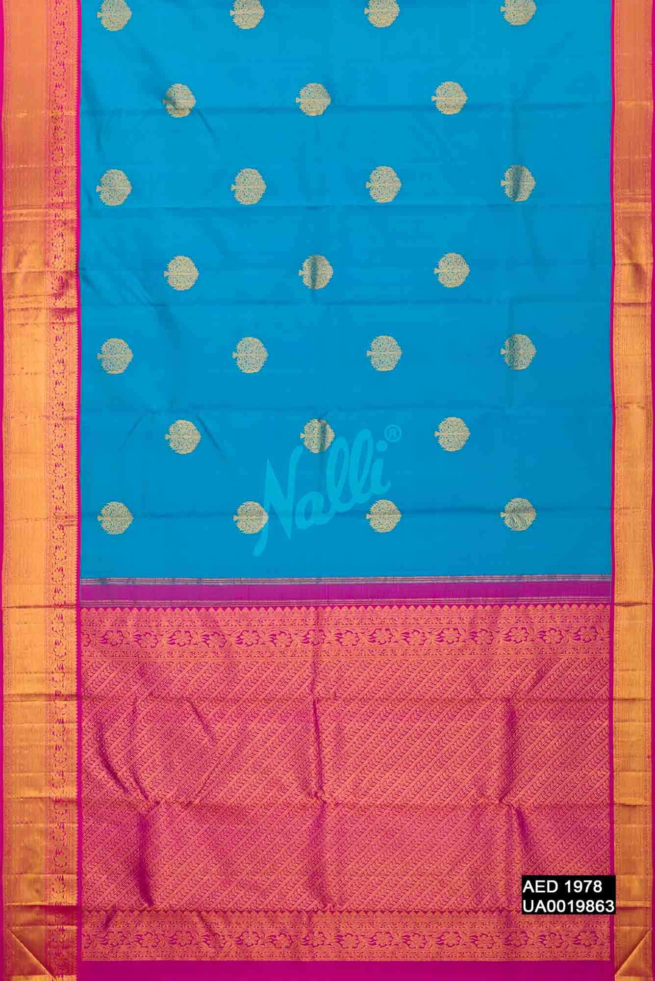 Sky Blue Kanchipuram Silk Saree