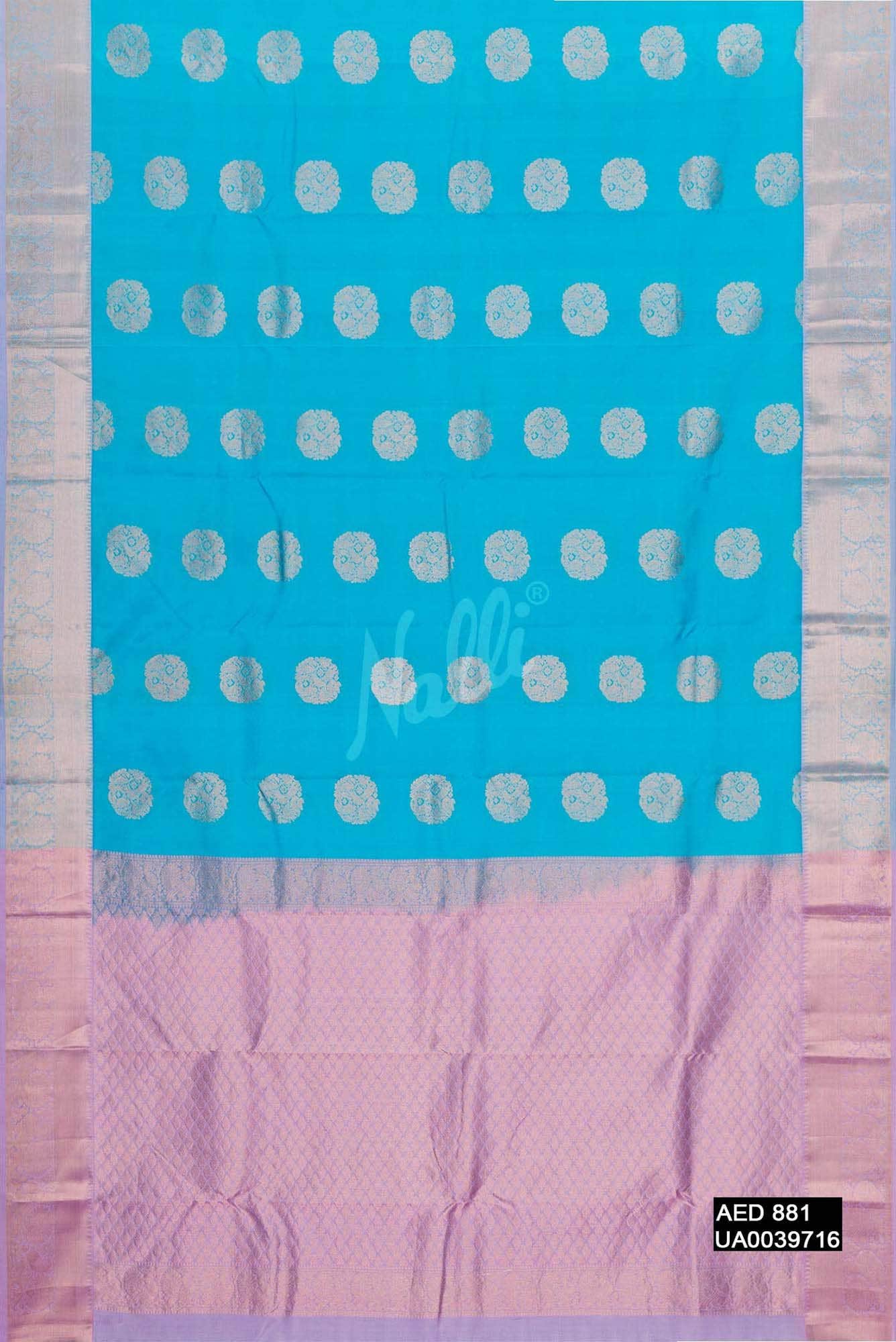 Sky Blue Kanchipuram Silk Saree