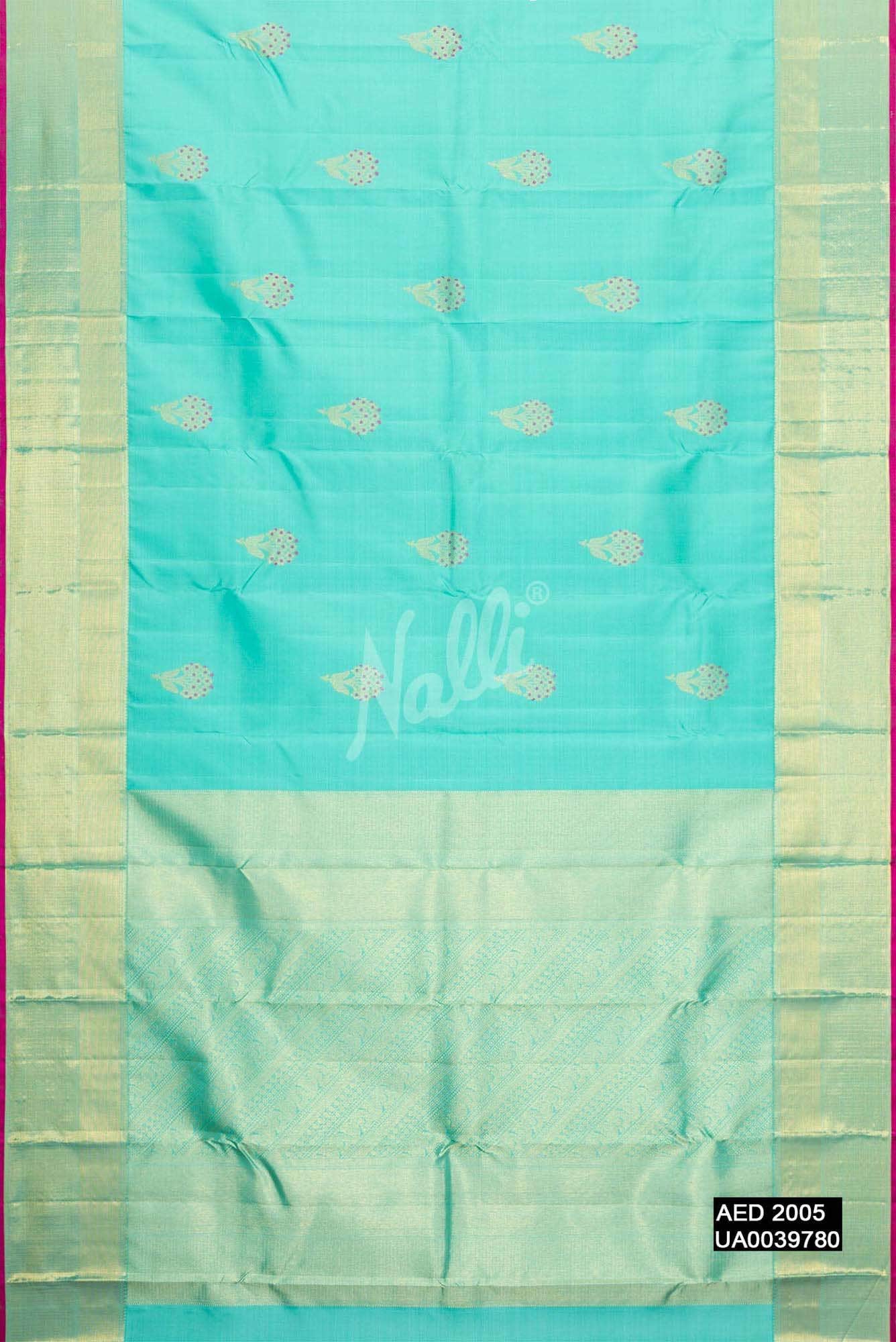 Sky Blue Kanchipuram Silk Saree