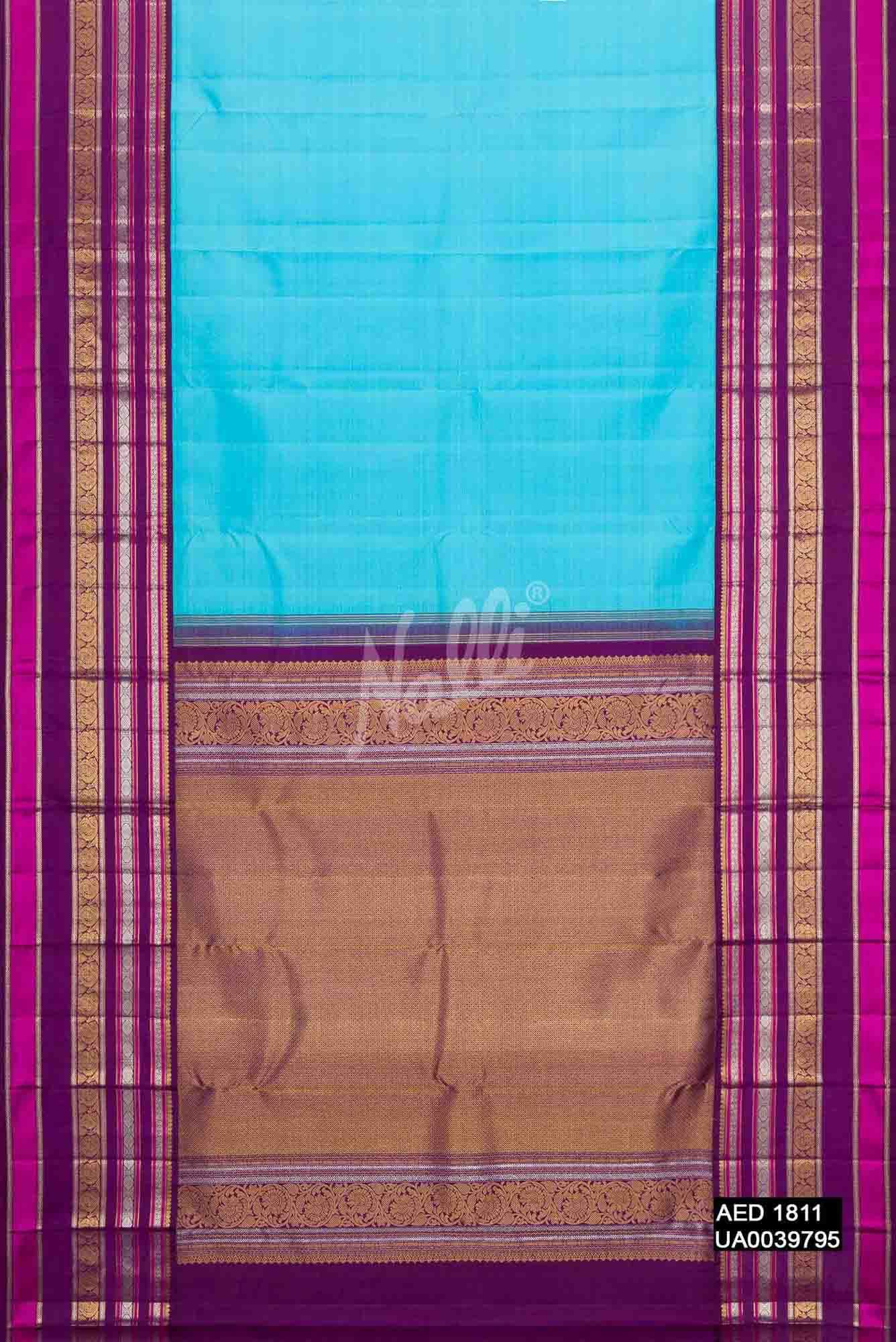 Sky Blue Kanchipuram Silk Saree