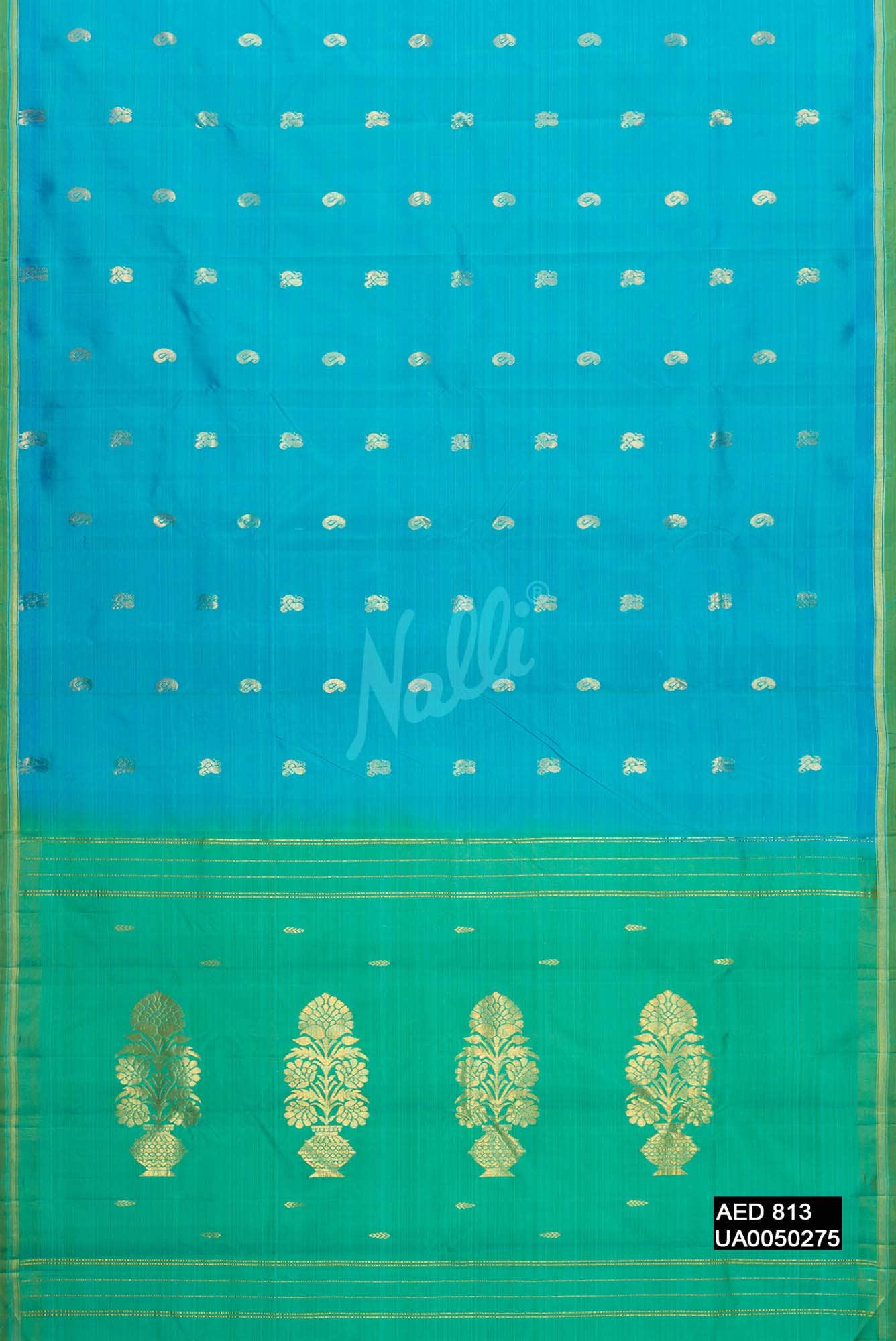 Sky Blue Kanchipuram Silk Saree
