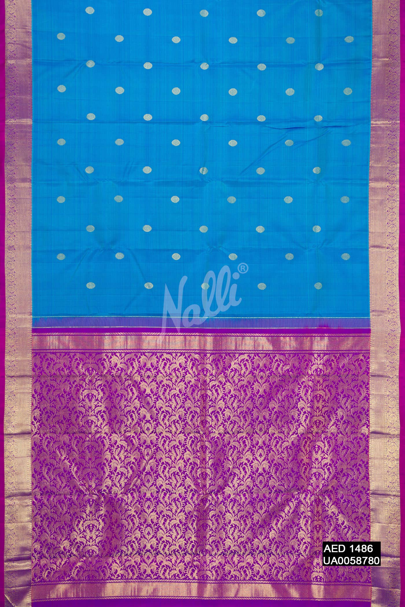 Sky Blue Kanchipuram Silk Saree