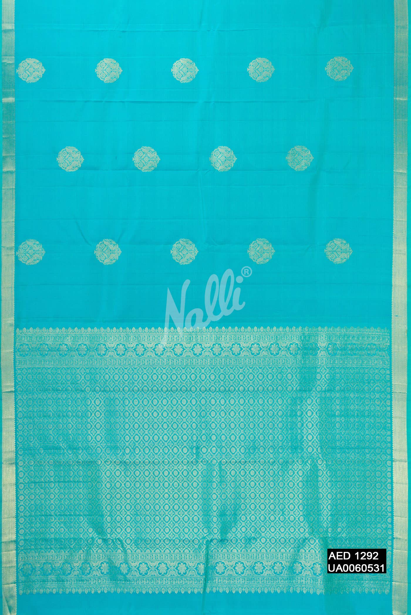 Sky Blue Kanchipuram Silk Saree