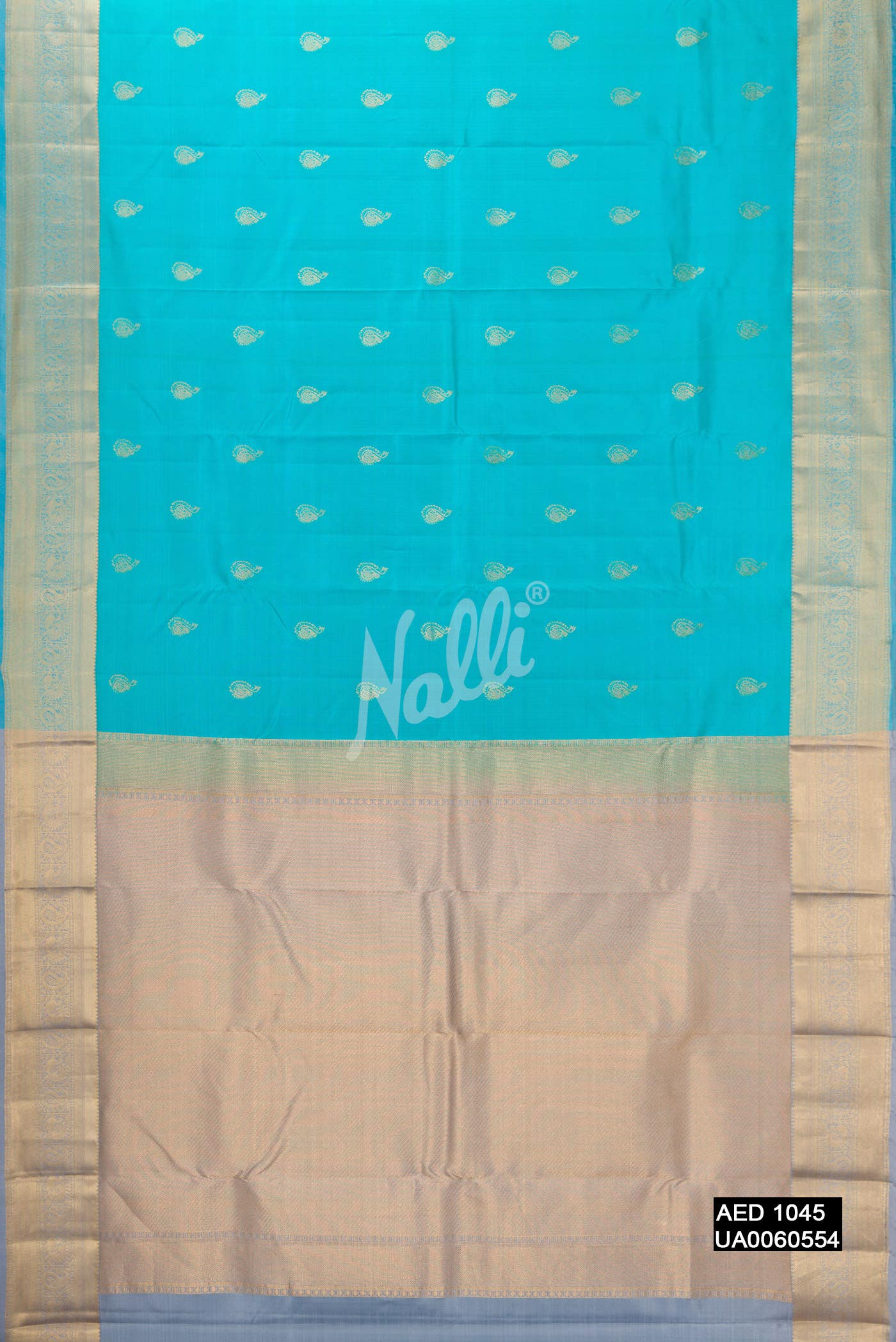 Sky Blue Kanchipuram Silk Saree