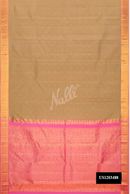 Pista Green Kanchipuram Silk Saree