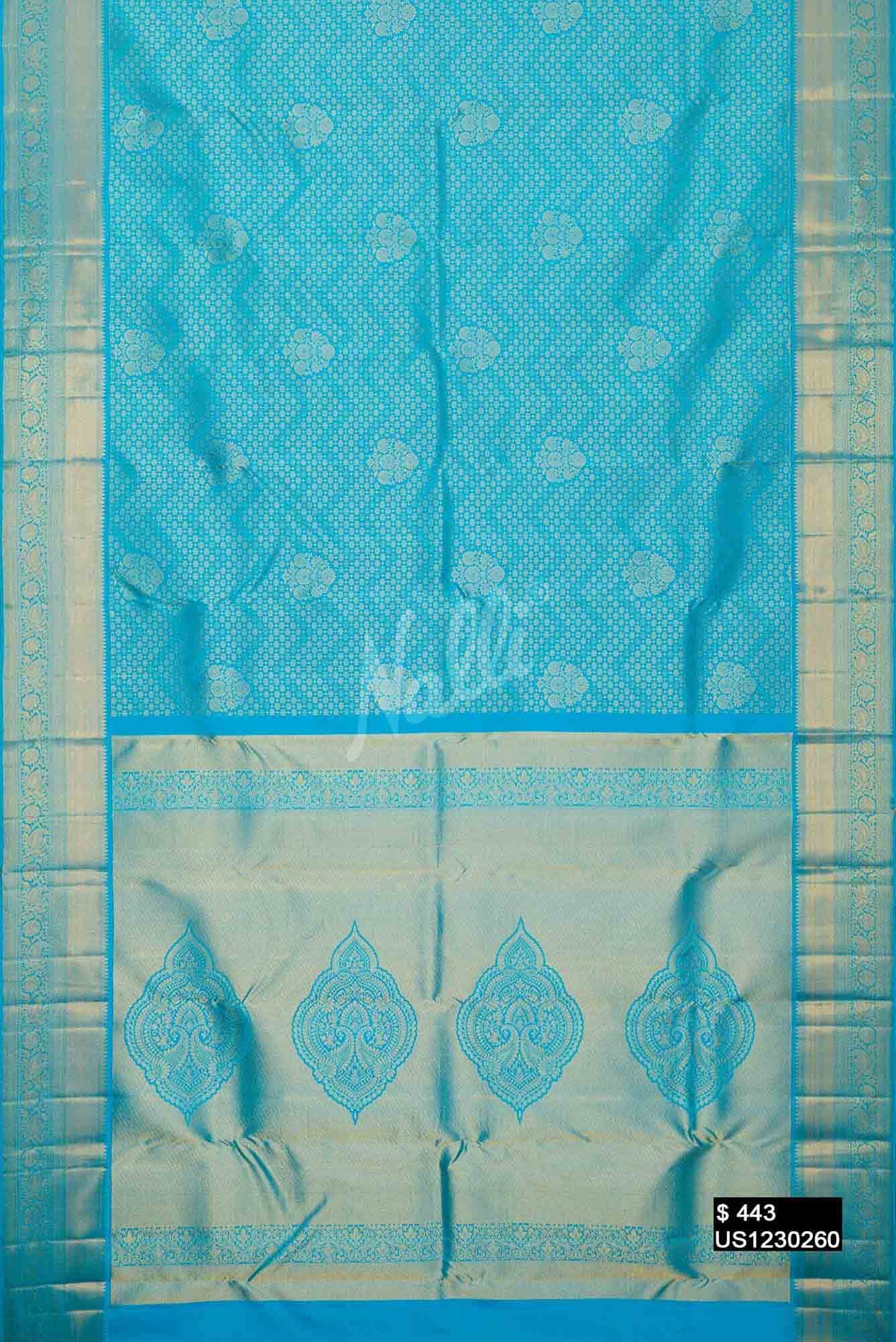 Sky Blue Kanchipuram Silk Saree