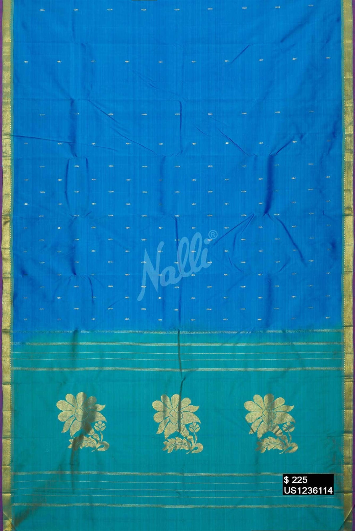 Sky Blue Kanchipuram Silk Saree