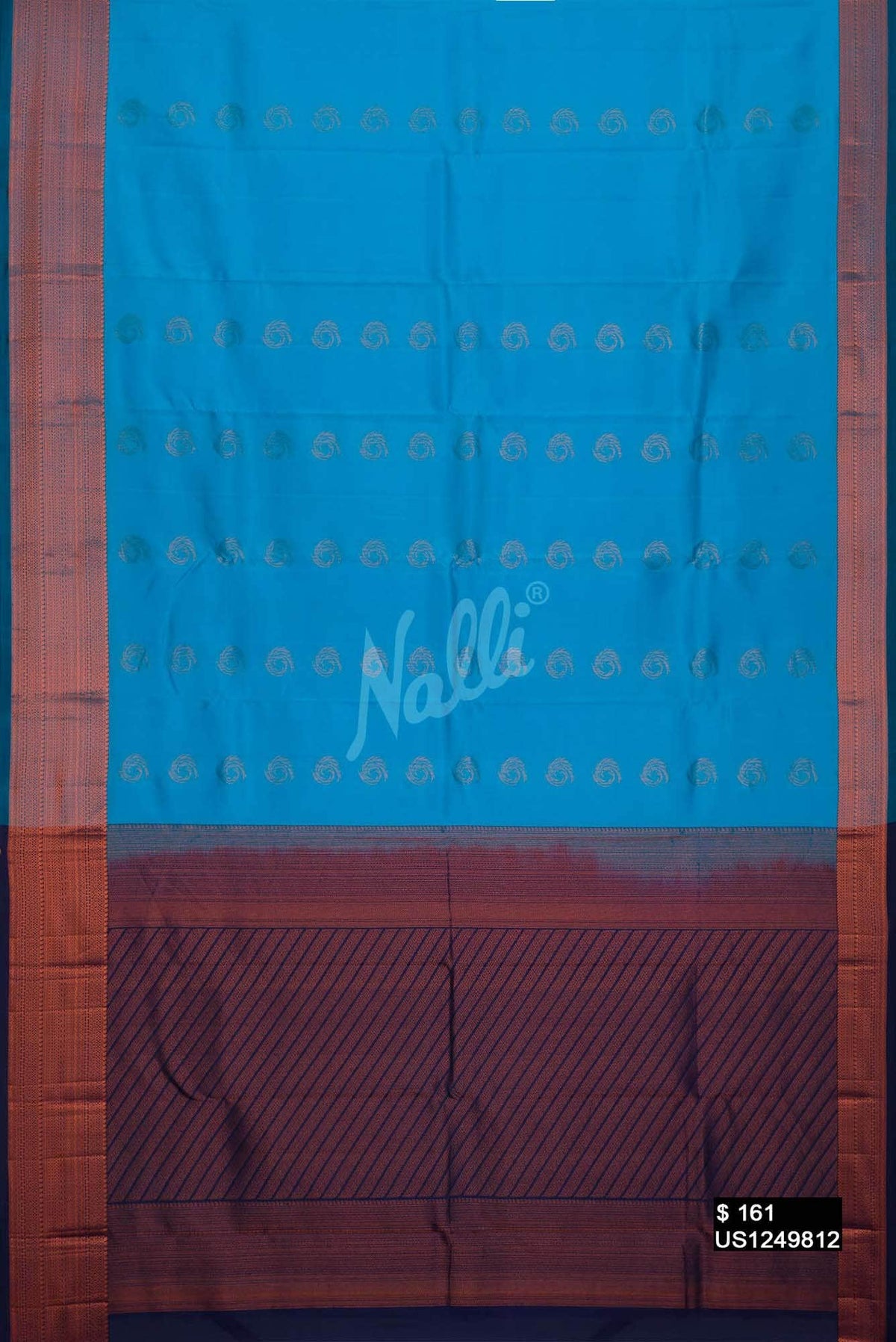 Sky Blue Kanchipuram Silk Saree