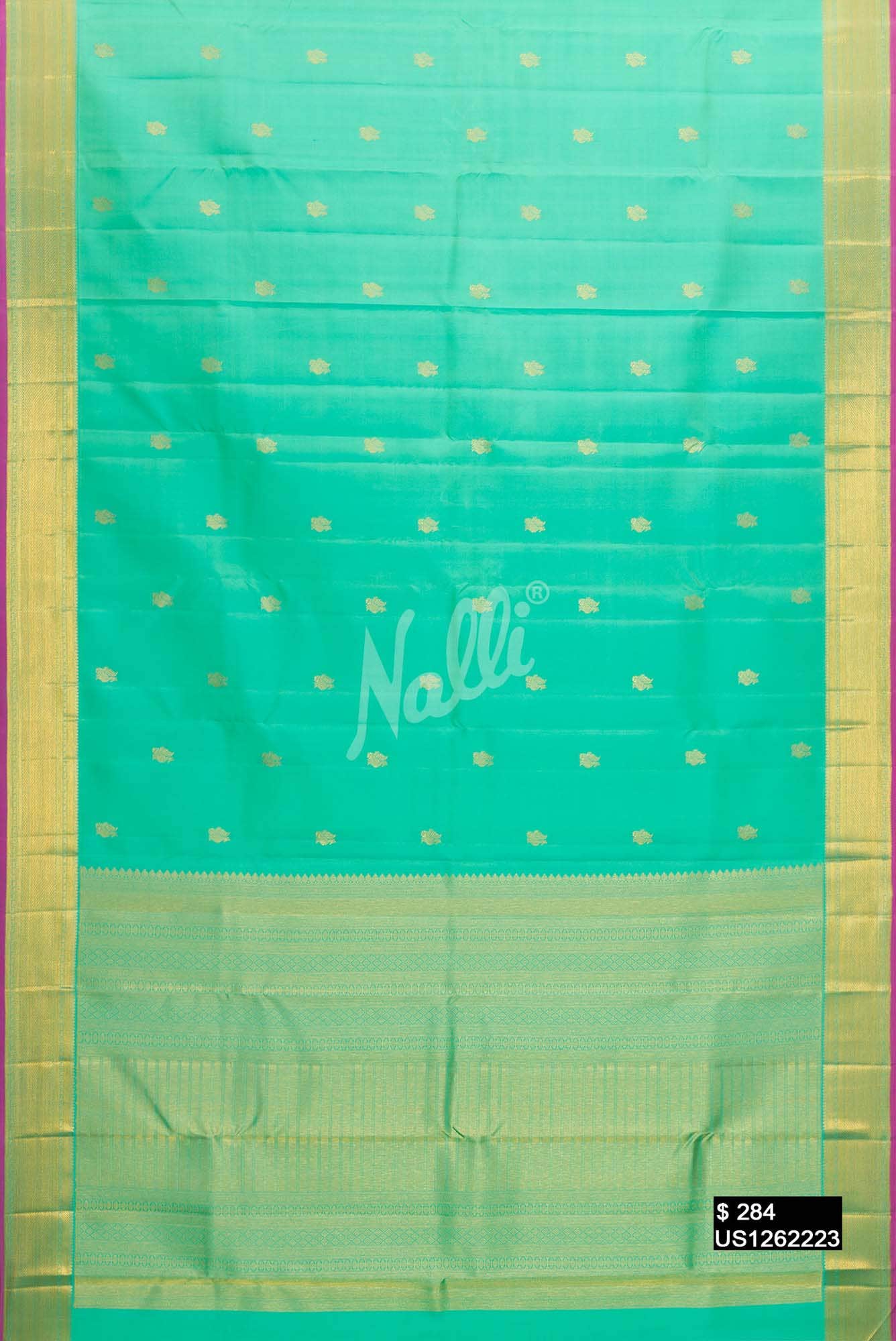 Sea Green Kanchipuram Silk Saree