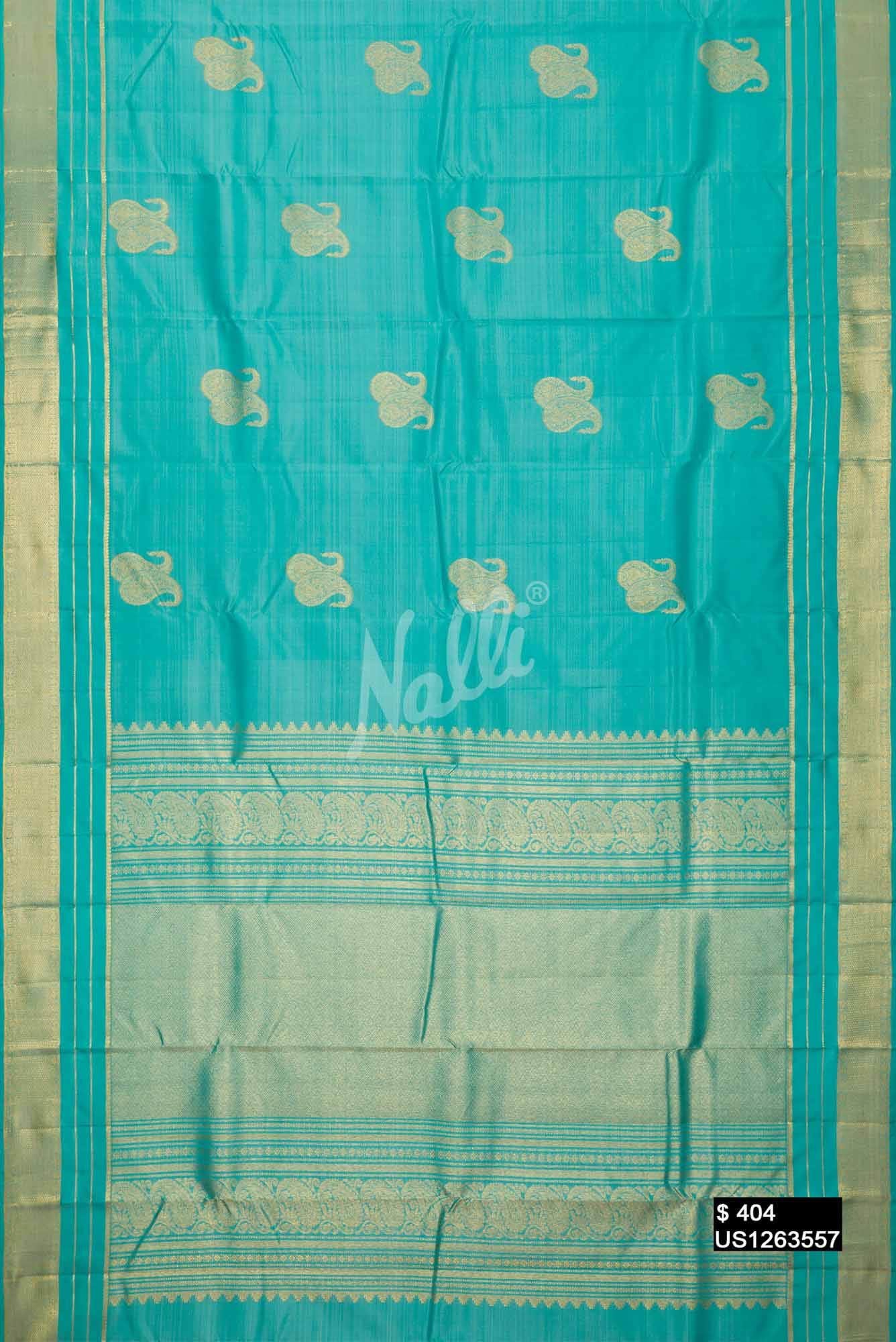 Sky Blue Kanchipuram Silk Saree