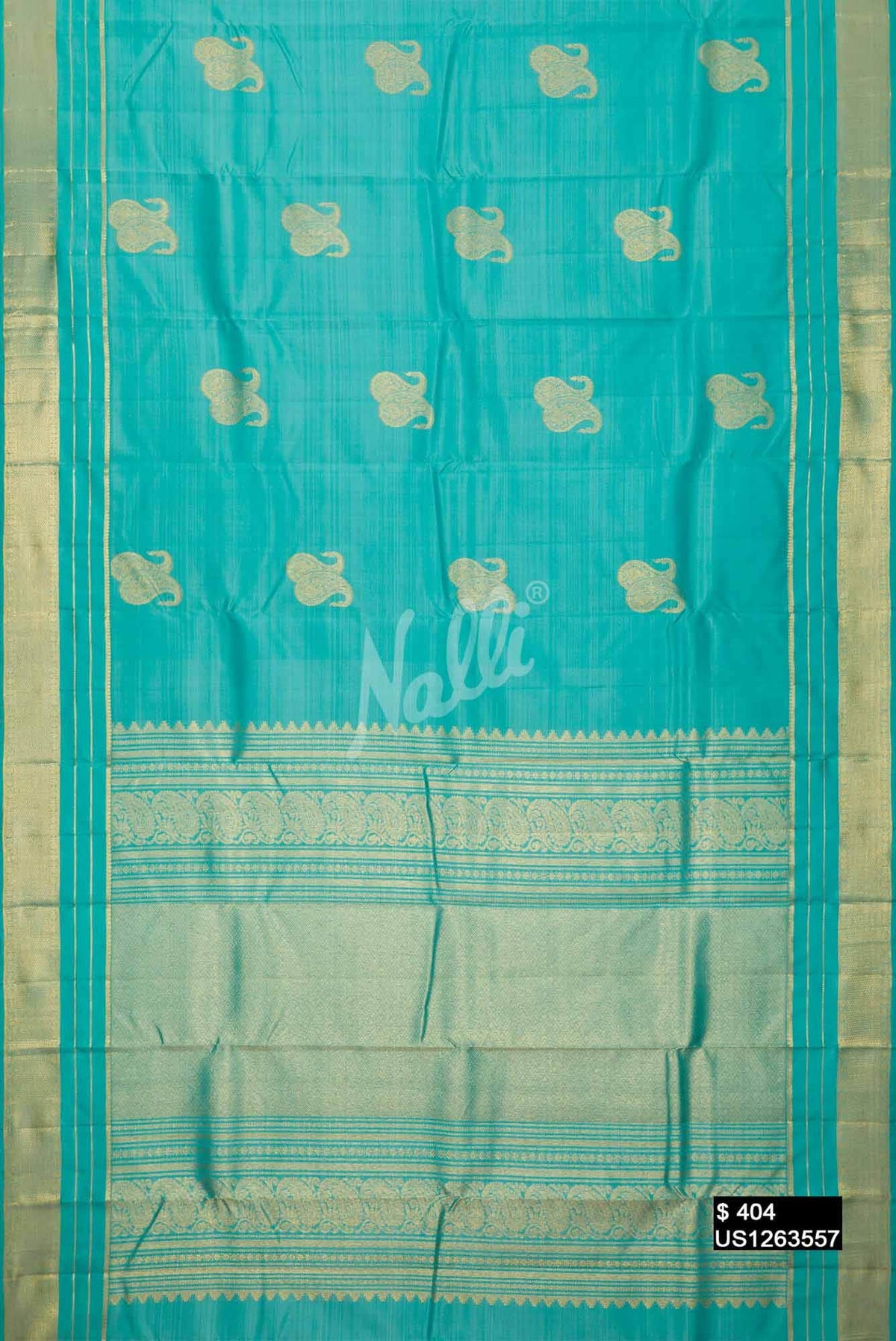 Sky Blue Kanchipuram Silk Saree