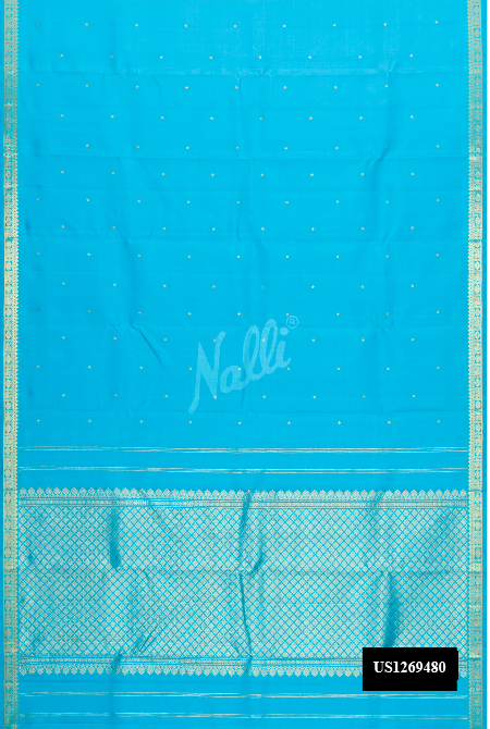 Sky Blue Kanchipuram Silk Saree