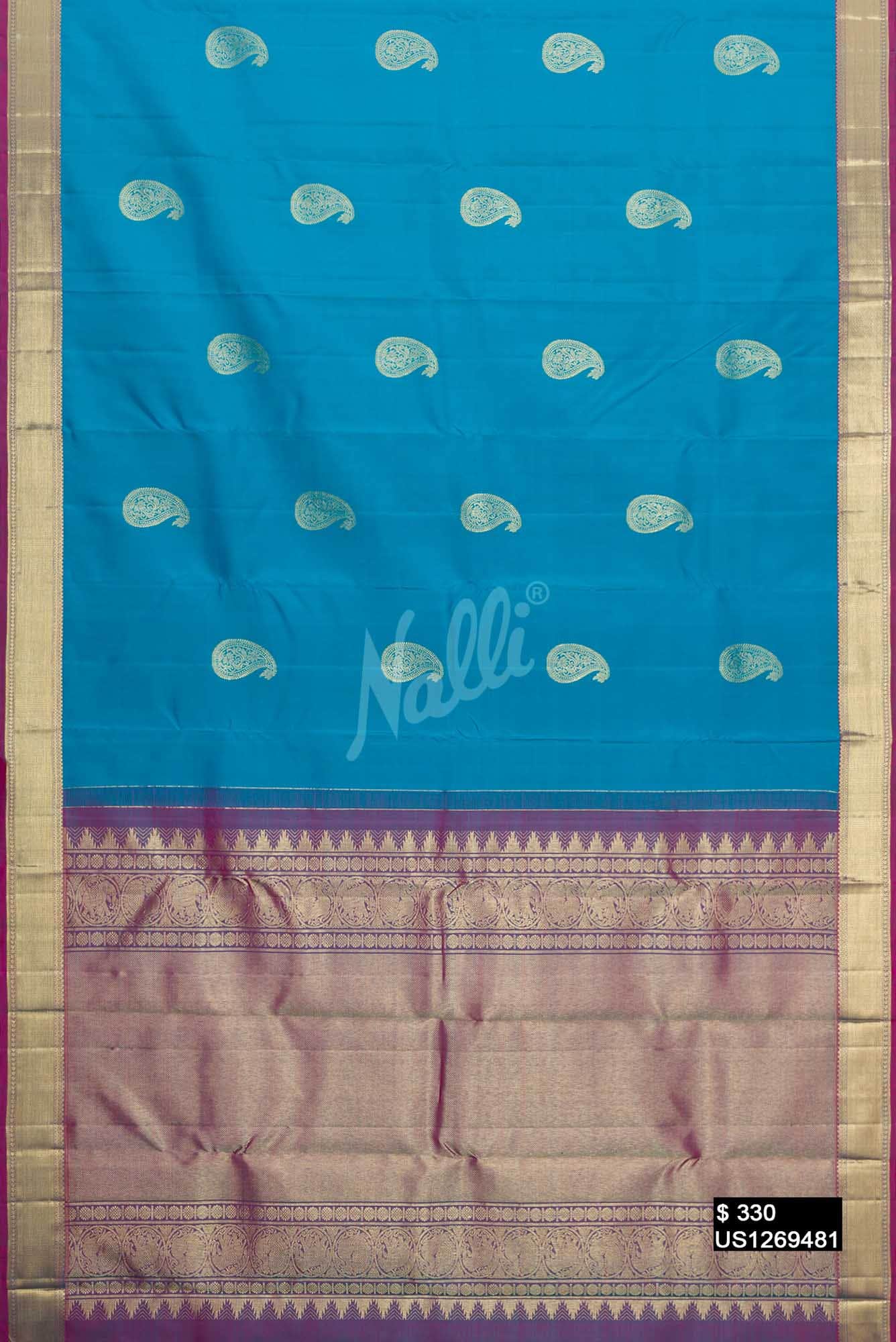 Sky Blue Kanchipuram Silk Saree