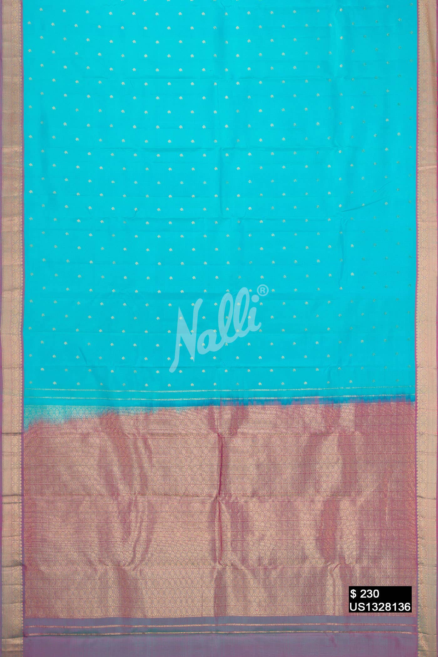 Sky Blue Kanchipuram Silk Saree
