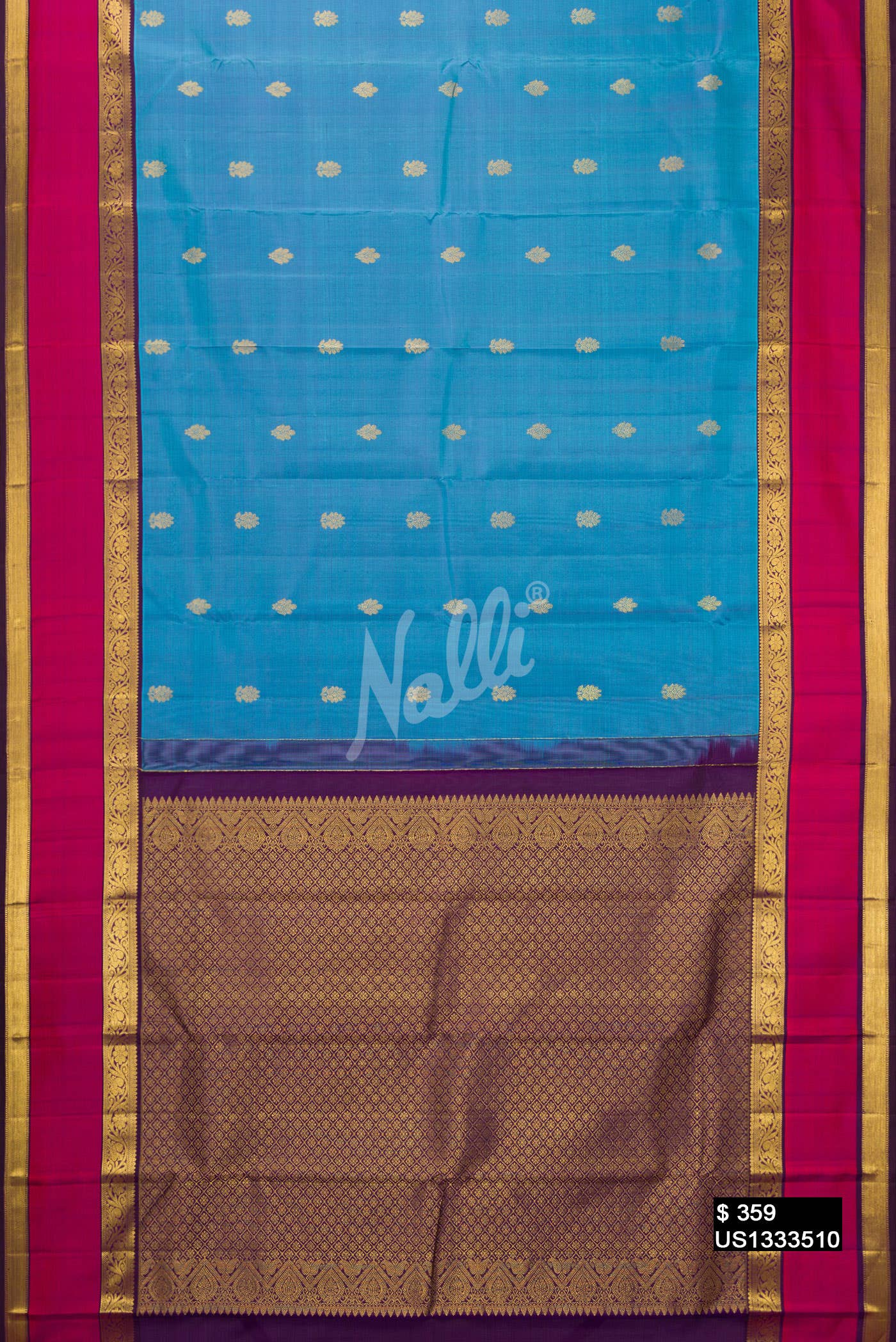 Sky Blue Kanchipuram Silk Saree
