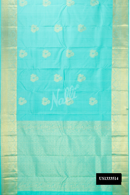 Sky Blue Kanchipuram Silk Saree