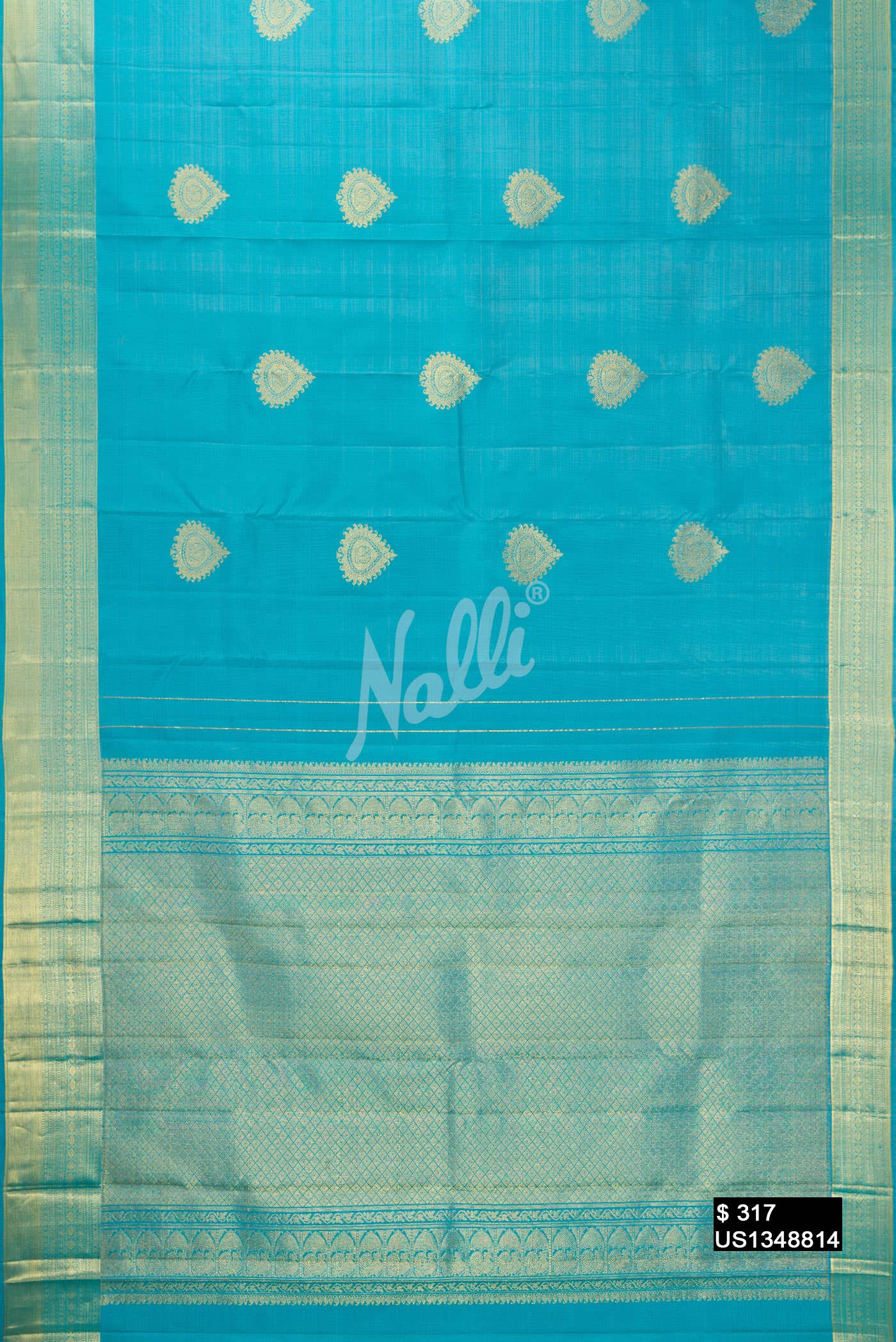 Sky Blue Kanchipuram Silk Saree